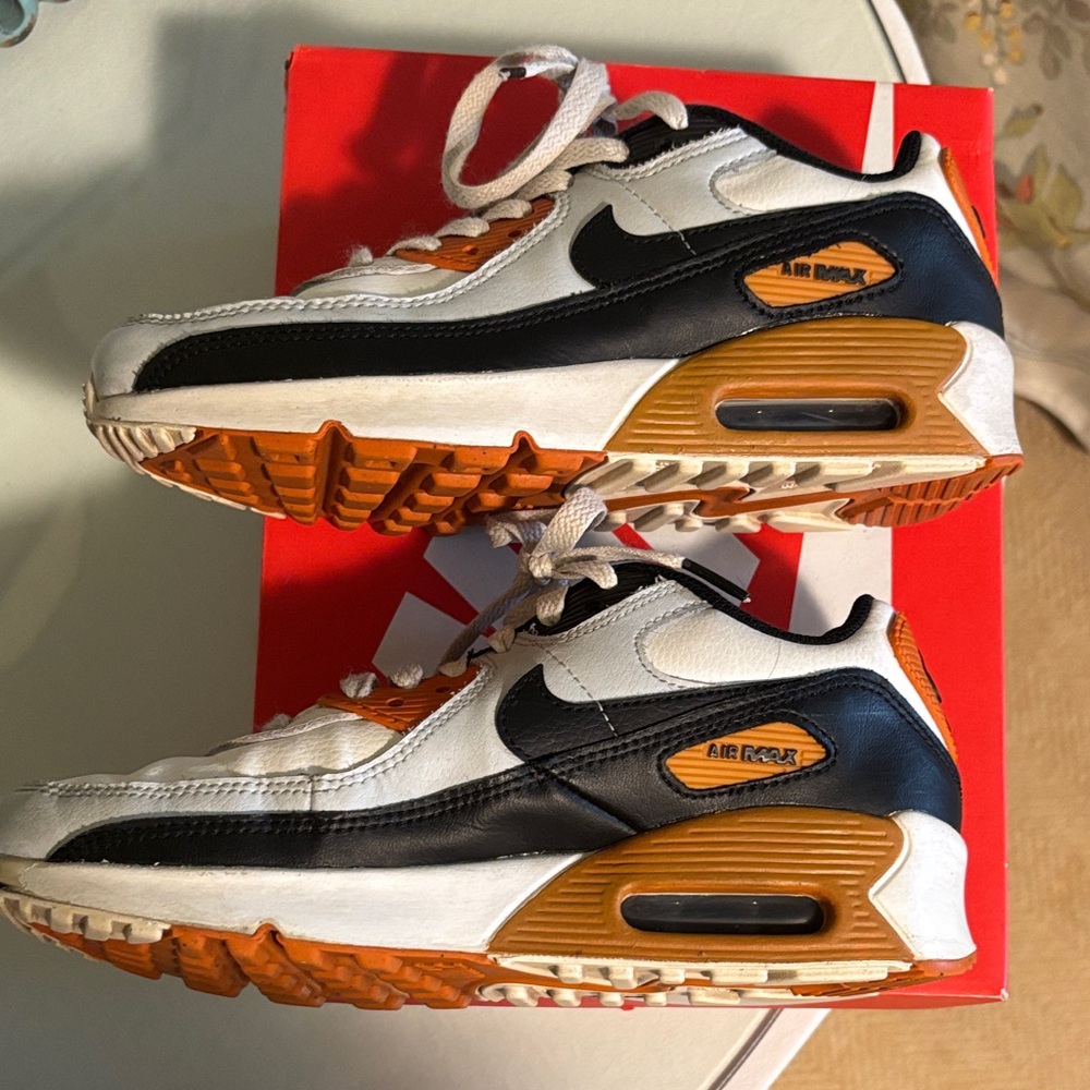 Nike Air Max 90 LTR